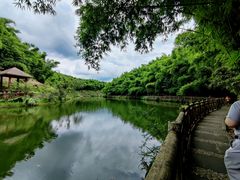 -沐川竹海旅游景区