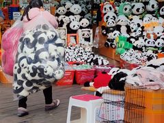-都江堰中华大熊猫苑