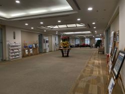 -北京明德医院
