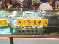水产区-皮记海鲜1995(寮步店)