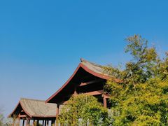 -飞凤山奥体公园