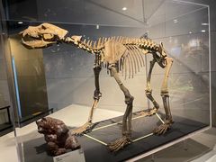 -北京周口店北京人遗址博物馆