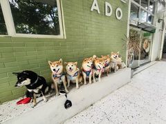 -ADO KAFE(大学城店)