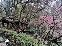 -杭州半山国家森林公园