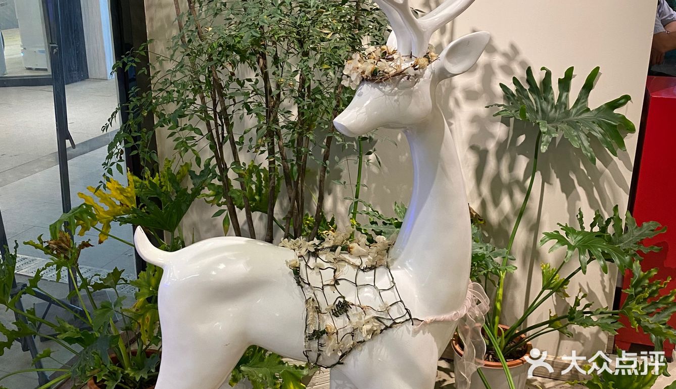 广州探店｜换个新口味，今晚来吃素