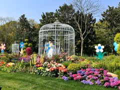 -上海共青森林公园