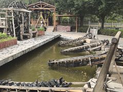 -水车博览园