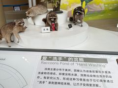 -陕西自然博物馆