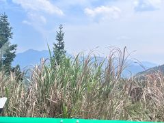-上坦村