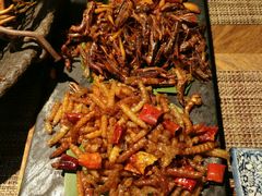 -云海肴·汽锅鸡·云南菜(天山百盛优客店)