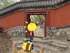 -阳台山自然风景区