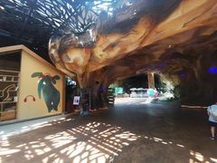 -杭州开元森泊度假乐园