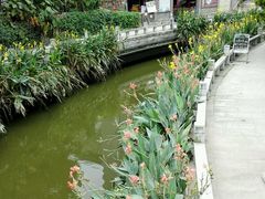 -黄埔古港