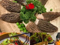 -芸山季·云南山珍菌火锅(人民广场来福士店)