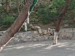 -佛慧山