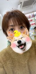 -镁连社·美联社