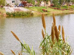 -枫香湖儿童公园