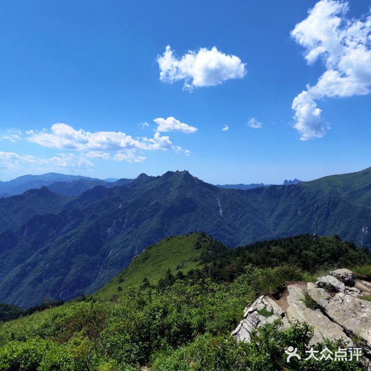 秦岭七十二峪｜分水岭高山草甸