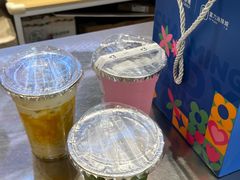 -宝藏绿洲(扬韬广场店)