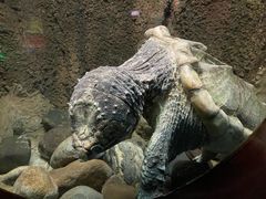 -太平洋海底世界