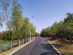 -艾溪湖湿地公园