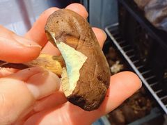 -菌之家·专业纯野生菌火锅·特色炒菌