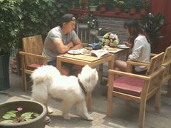 -百好乐宠物友好餐厅(朝外大街店)