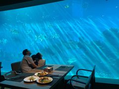 -海棠湾洲际-涛·海底餐厅·美人鱼·自助餐·海底隧道