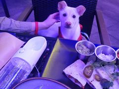 -bluefrog蓝蛙(皇庭广场店)