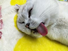 -博特宠物医院24h犬猫全科.骨科·异宠