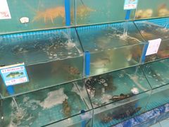 水产区-琼大师东方烤乳猪(亚特兰蒂斯店)