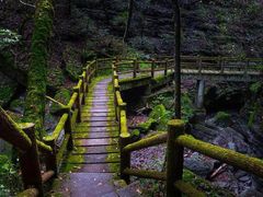 -东莞市大岭山森林公园