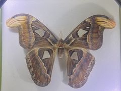 -香港科学馆