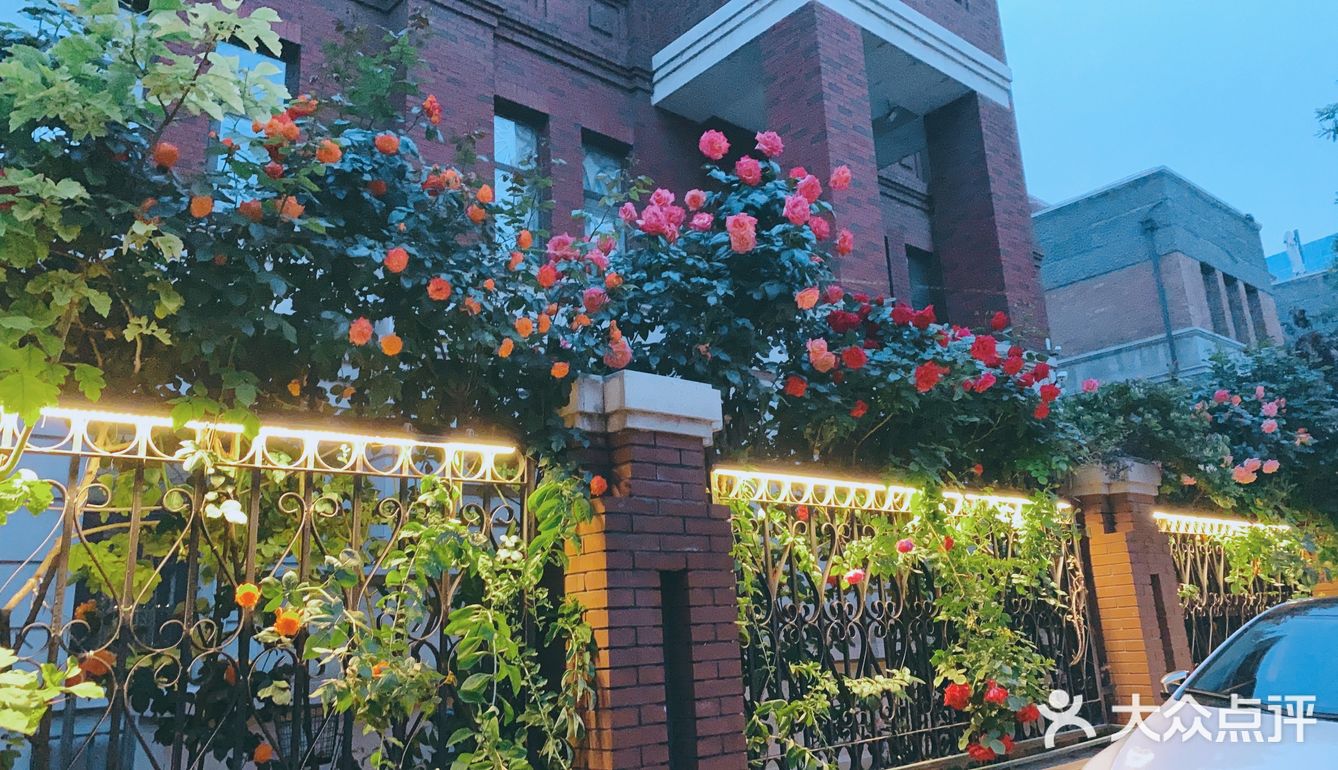 花都开好了，就等你来