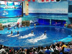 -多彩贵州城极地海洋世界