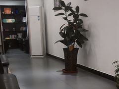 -天津津维瑞通比亚迪4S店(工业大学店)