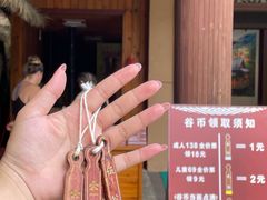 -海南槟榔谷黎苗文化旅游区