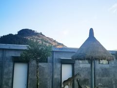 -西霞口神雕山野生动物世界