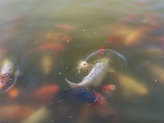 -月牙潭公园