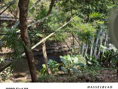 -大观园昆山峡漂流