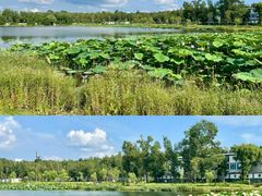 -长春市南湖公园