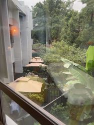 -宝生月子中心(独栋园林·福田店)