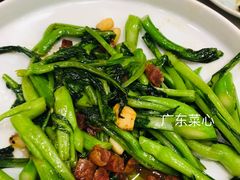 生炒广东菜心-鸭匠食府·挂炉烤鸭·新京菜(阜成路店)