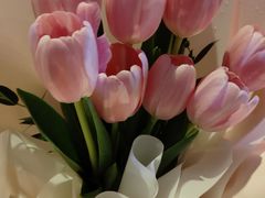 -循礼门鲜花花市(武汉循礼门店)