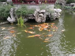 -檀园