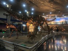 -国家自然博物馆