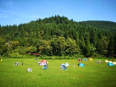 -武陵山森林公园