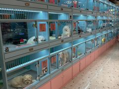 -FAELING PETS美天灵宠物(合生汇店)