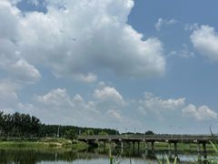 -蒲河岛湿地公园