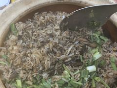 黄鳝饭-汤氏美食台山水步特色黄鳝饭(龙津东路店)